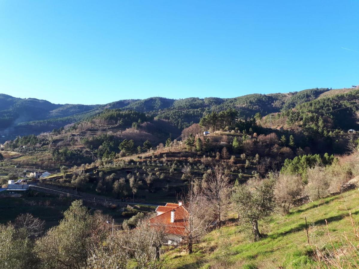 Casa Das Oliveiras - Manteigas Eksteriør bilde