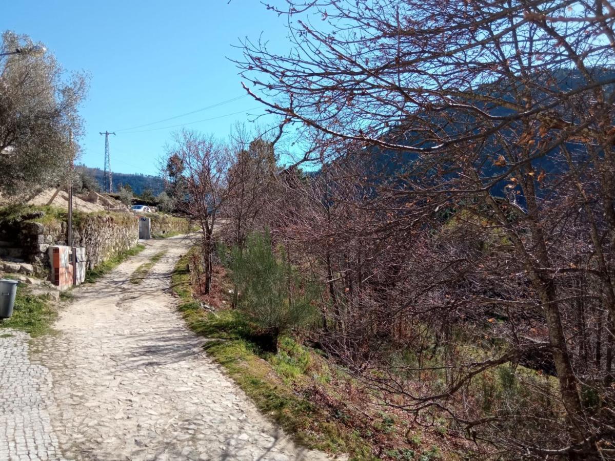 Casa Das Oliveiras - Manteigas Eksteriør bilde