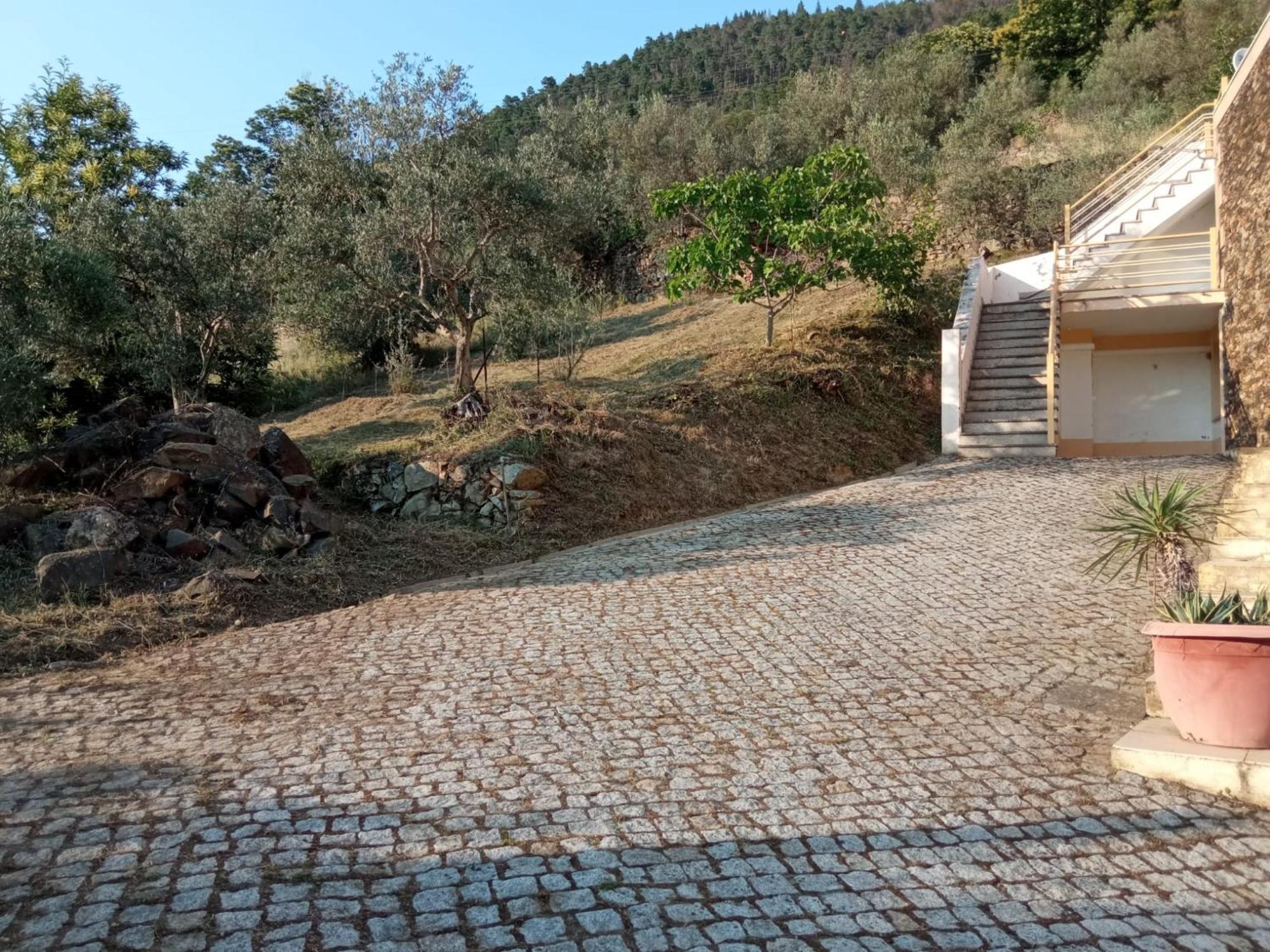 Casa Das Oliveiras - Manteigas Eksteriør bilde