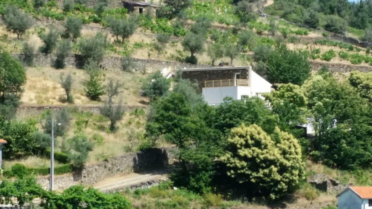 Casa Das Oliveiras - Manteigas Eksteriør bilde